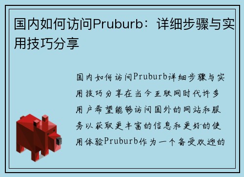 国内如何访问Pruburb：详细步骤与实用技巧分享